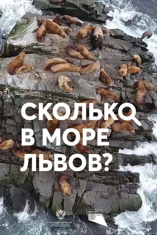 Постер фильма Сколько в море львов?