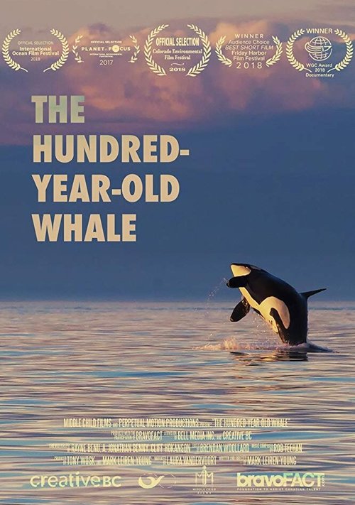 The Hundred Year Old Whale скачать