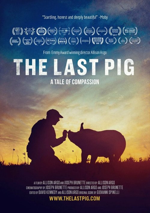 The Last Pig скачать