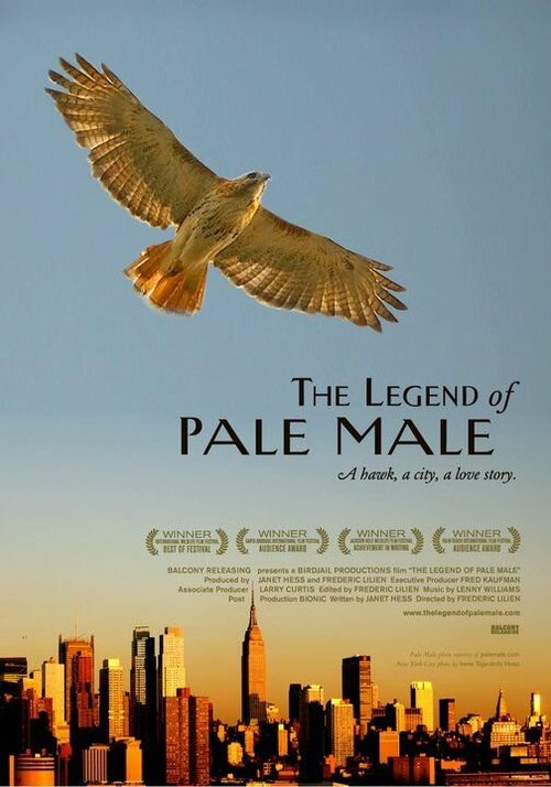The Legend of Pale Male скачать