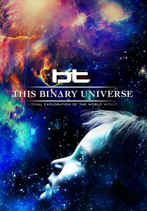 This Binary Universe скачать