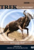 Постер фильма Trek: Spy on the Wildebeest