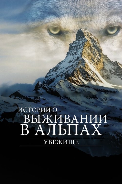 Постер фильма Убежище. Истории о выживании в Альпах