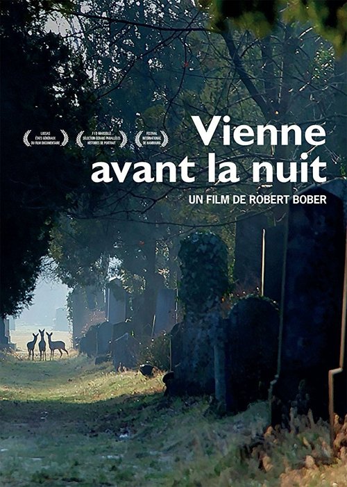 Vienne avant la nuit скачать