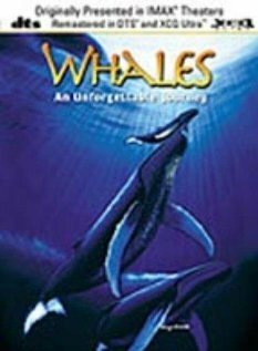 Постер фильма Whales: An Unforgettable Journey