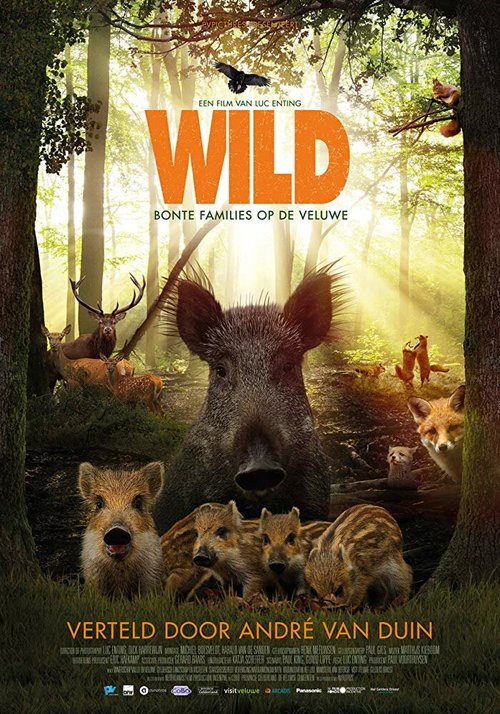 Постер фильма Wild