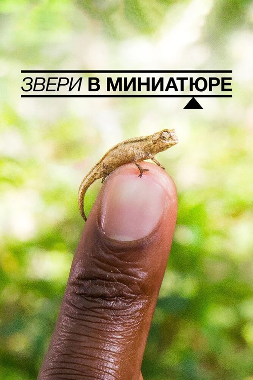 Постер фильма Звери в миниатюре