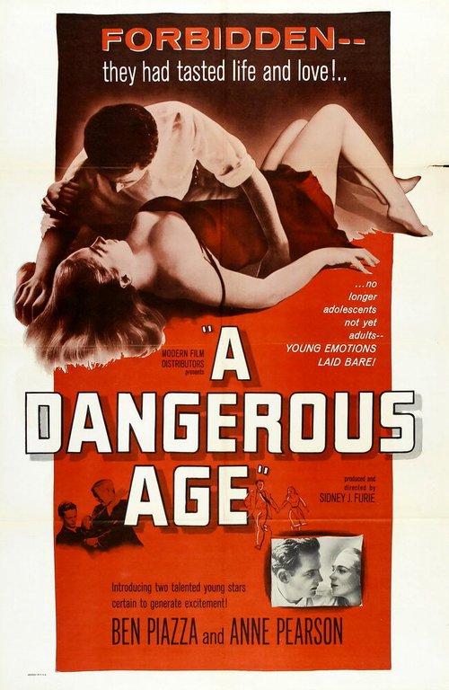 Постер фильма A Dangerous Age