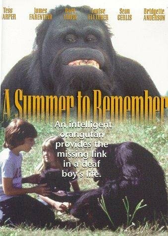 A Summer to Remember скачать