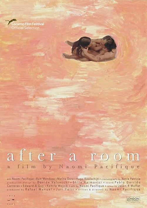 Постер фильма After a Room