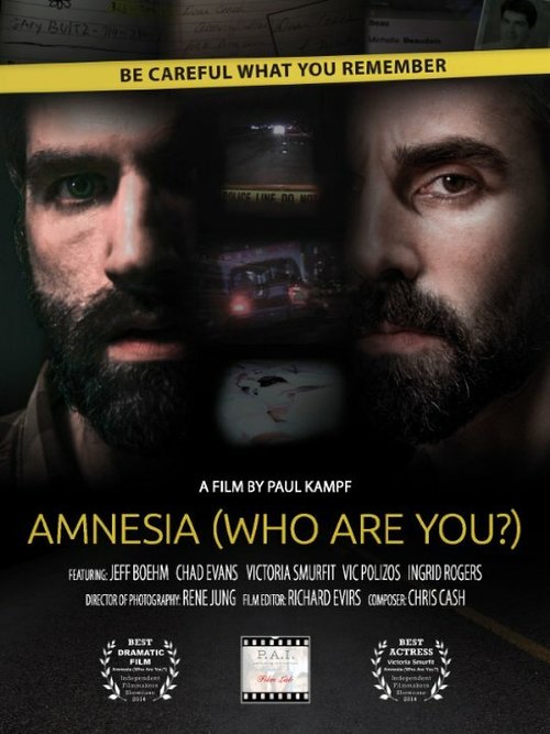 Постер фильма Amnesia: Who Are You?