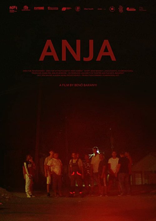 Постер фильма Anja