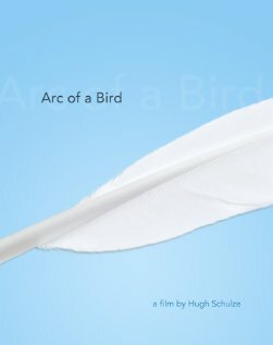 Arc of a Bird скачать