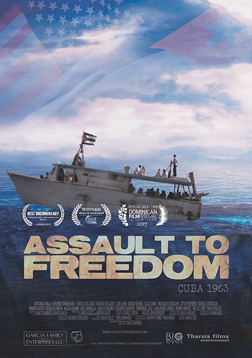 Assault to Freedom скачать