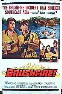 Постер фильма Brushfire