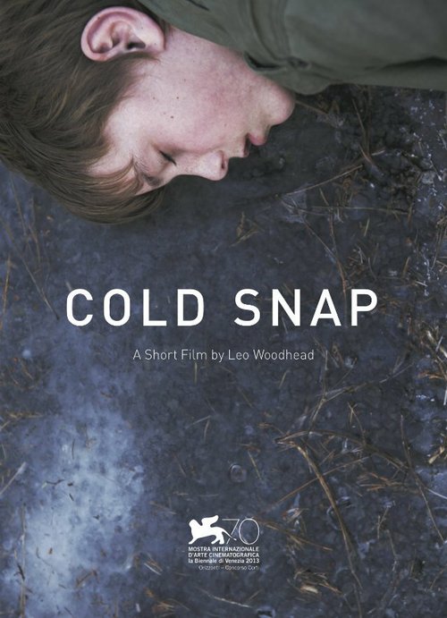 Постер фильма Cold Snap