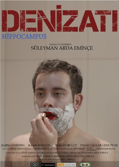 Постер фильма Denizati