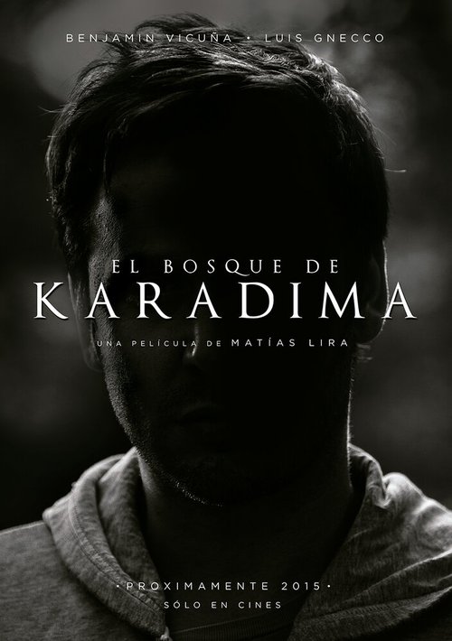 Постер фильма El Bosque de Karadima