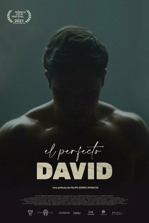 Постер фильма El perfecto David