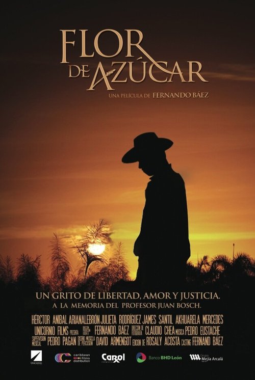 Постер фильма Flor de Azúcar