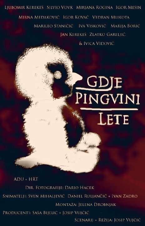 Постер фильма Gdje pingvini lete