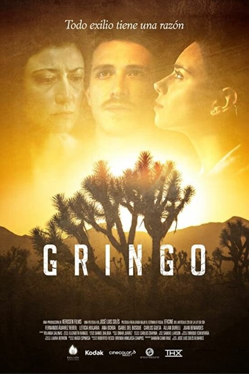 Постер фильма Gringo