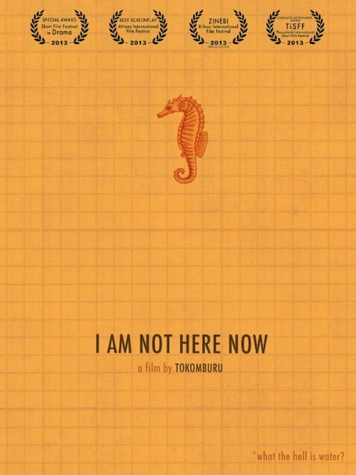 I Am Not Here Now скачать