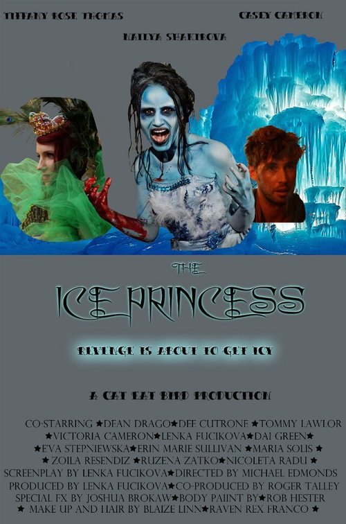 Постер фильма Ice Princess