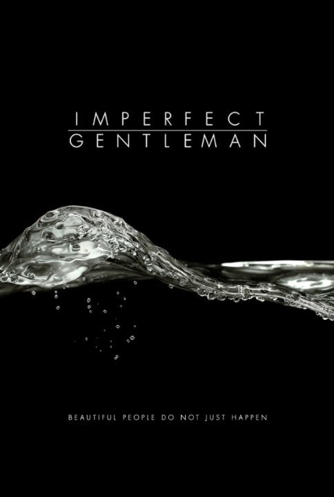 Imperfect Gentleman скачать