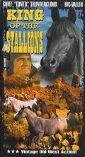 Постер фильма King of the Stallions