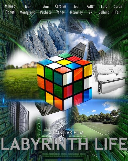 Labyrinth Life скачать