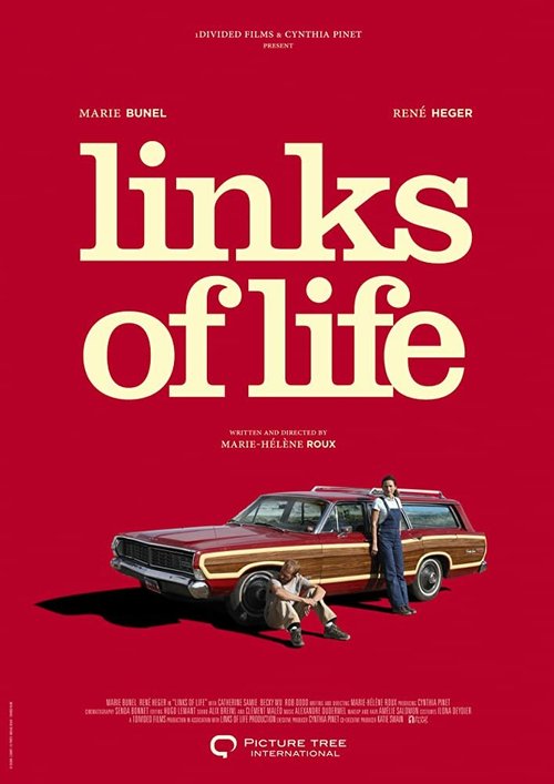 Постер фильма Links of Life