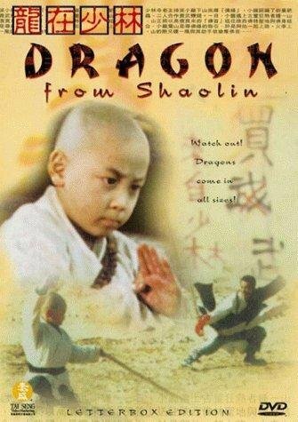 Long zai Shaolin скачать