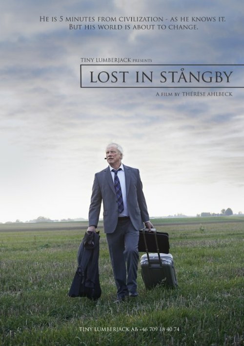 Постер фильма Lost in Stångby