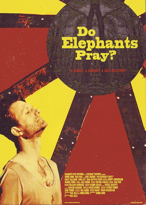 Молятся ли слоны? скачать