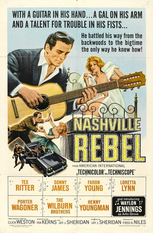 Постер фильма Nashville Rebel