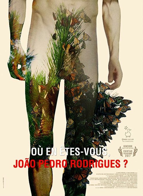 Où en êtes-vous, João Pedro Rodrigues? скачать