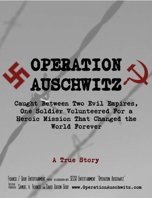 Operation Auschwitz скачать