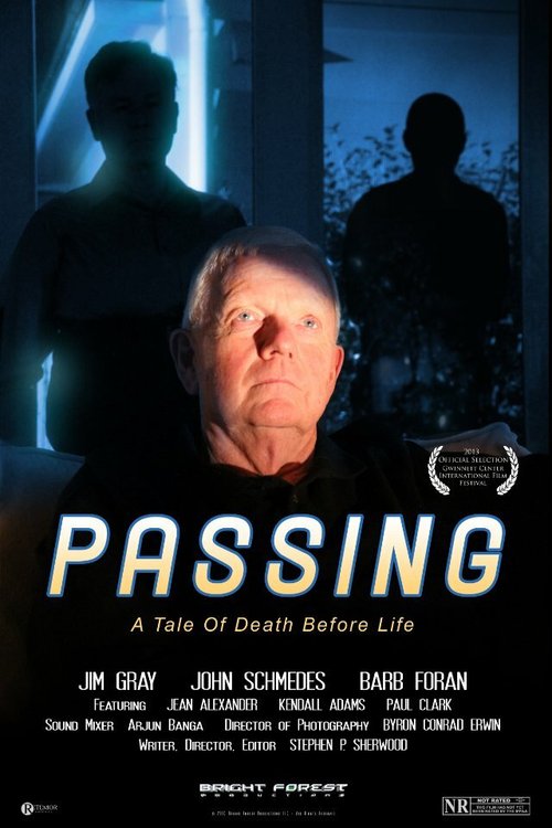 Постер фильма Passing