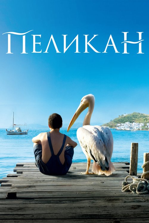 Постер фильма Пеликан