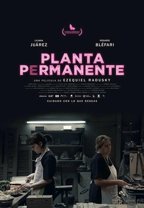 Постер фильма Planta permanente