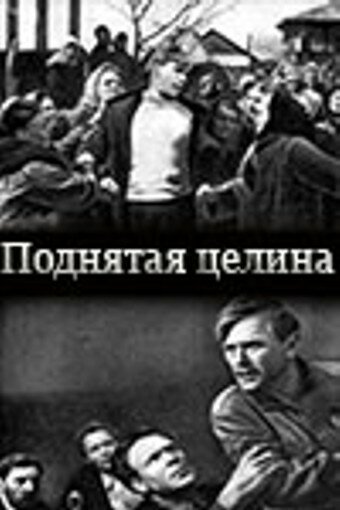 Постер фильма Поднятая целина