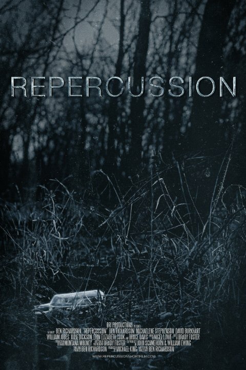 Постер фильма Repercussion