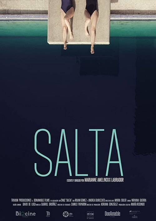 Постер фильма Salta