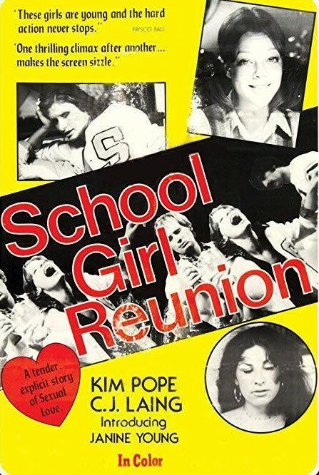 Постер фильма Schoolgirl's Reunion