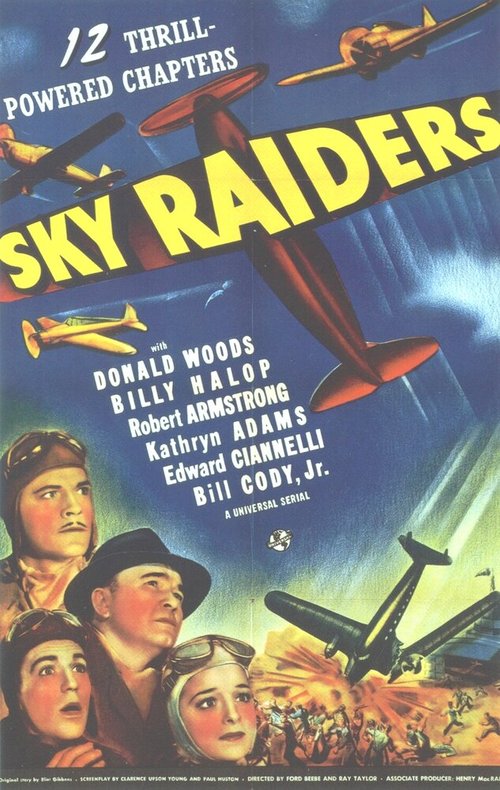 Sky Raiders скачать