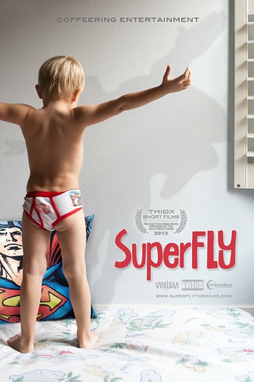 Постер фильма SuperFLY