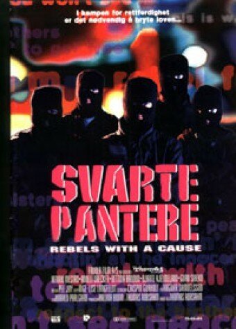 Постер фильма Svarte pantere