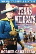 Постер фильма Texas Wildcats