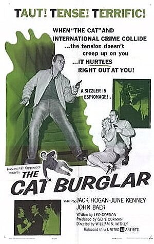 Постер фильма The Cat Burglar